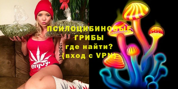 a pvp Аркадак